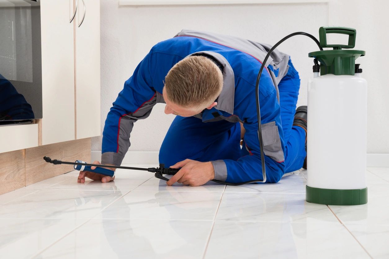 Indoor Treatment